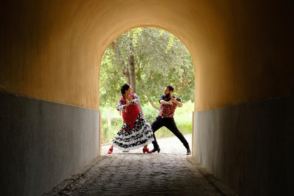 par-igra-flamenko-ples